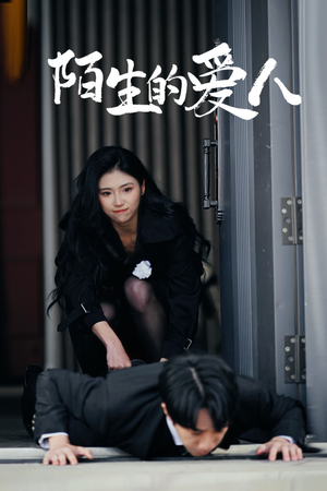 【陌生的爱人】60集短剧在线免费全集观享