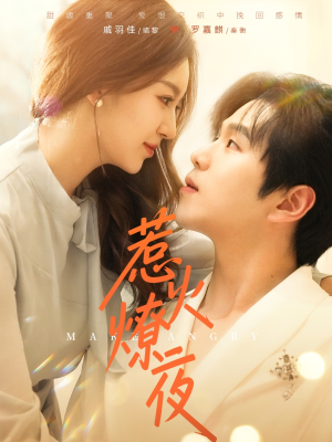 【惹火燎夜】74集短剧完整版免费看