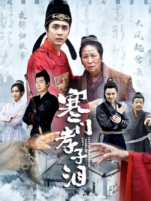 【寒门孝子泪】31集短剧免费高清在线看