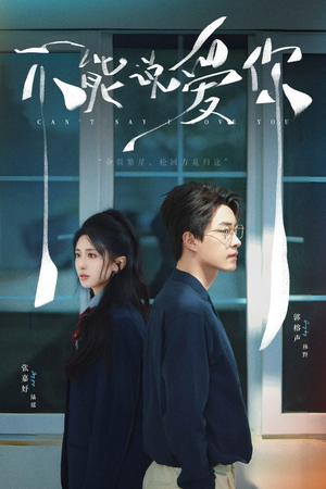【不能说爱你】64集短剧免费在线畅览看