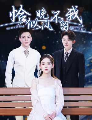 【恰似晚风不留我】51集短剧全集免费观看