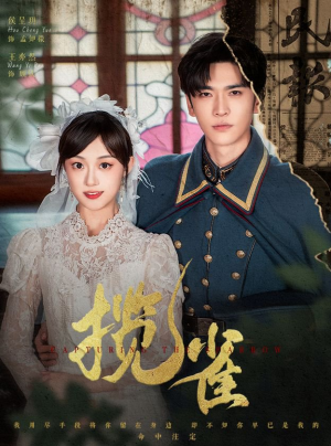 【揽雀】61集免费短剧在线速看