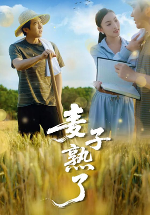 【麦子熟了】52集短剧免费在线全集瞧