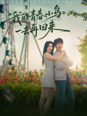 【我的青春小鸟一去再回来】95集短剧免费在线赏览
