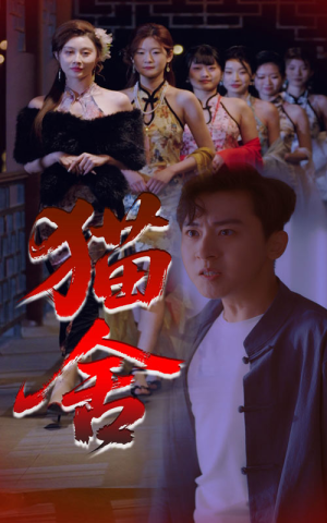 【猫舍】34集短剧免费在线完整品看