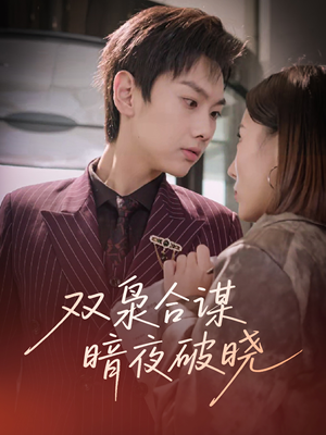 【双枭合谋暗夜破晓】30集高清短剧免费看全集