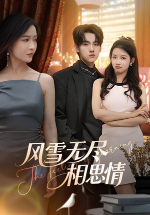 【风雪无尽相思情】61集免费短剧全集观瞧