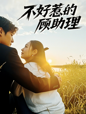 【不好惹的顾助理】67集短剧免费全集悦看