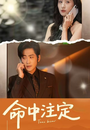 【命中注定】33集免费短剧在线直看