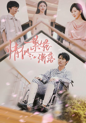 【情似繁花渐落】62集短剧免费全集在线赏看