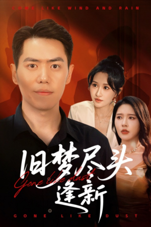 【旧梦尽头逢新】46集免费短剧在线畅快追