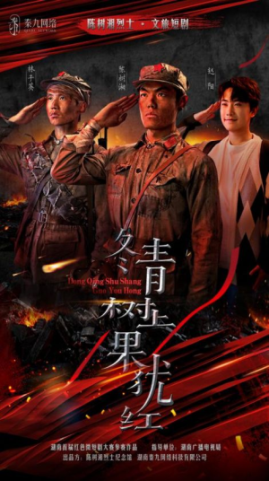 【冬青树上果犹红】在线9集短剧免费全集观