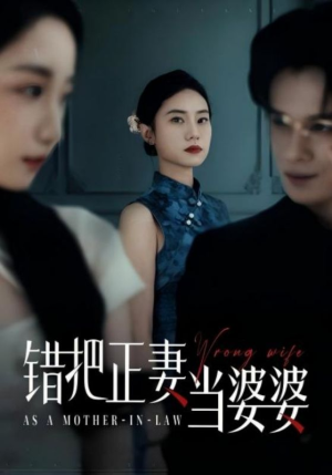 错把正妻当婆婆（46集）热播短剧来袭