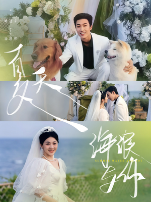 【夏天，海浪与你】76集短剧免费在线全集览