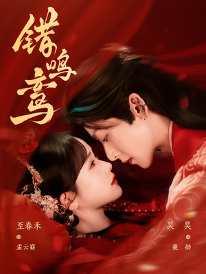 【错鸣鸾】75集短剧在线免费畅快观