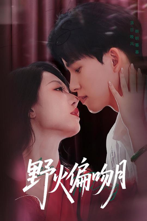 【野火偏吻月】51集短剧免费在线尽情赏