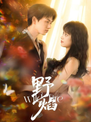 【野焰】60集短剧免费全集线上赏看