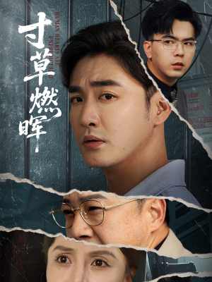 【寸草燃晖】70集短剧全集在线免费赏