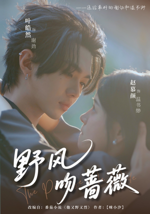 【野风吻蔷薇】78集短剧免费全集流畅观看
