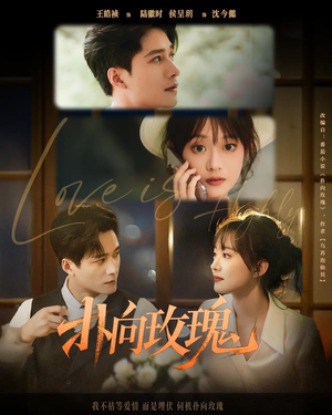 【扑向玫瑰】77集免费短剧在线完整观看