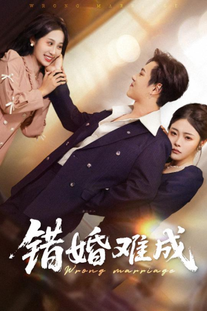 【错婚难成】45集短剧免费高清在线观看
