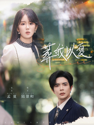 【葬我以夏】73集短剧在线免费全集直享