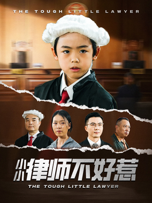 【小小律师不好惹】82集在线短剧完整版免费看