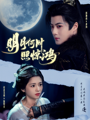 【明月何时照惊鸿】80集短剧免费全集线上观看
