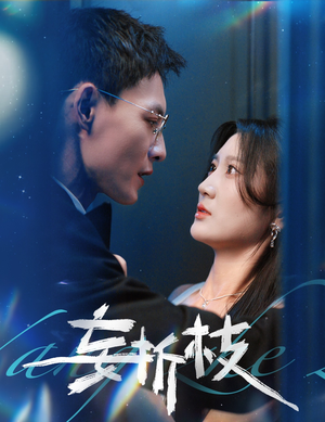 【妄折枝】53集高清短剧在线免费看