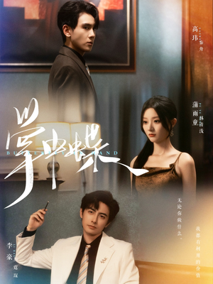 【掌中蝶】84集在线短剧免费观看