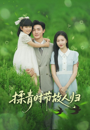 【揉青时节故人归】60集免费短剧全集随心看