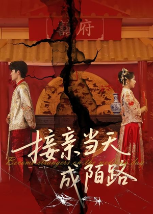 接亲当天成陌路（50集）集免费看短剧