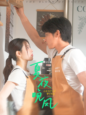 【夏夜晚风】12集短剧全集免费在线观