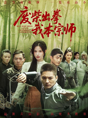 【废柴出拳我本宗师】61集短剧免费在线畅看