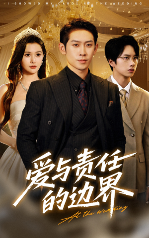 【爱与责任的边界】35集短剧在线免费全集享