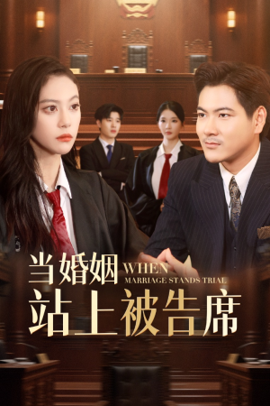 【当婚姻站上被告席】30集短剧在线完整观看