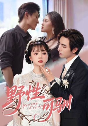 【野性可驯】63集在线免费短剧全集赏