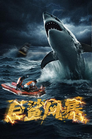 【巨鲨风暴】59集短剧全集免费在线赏观