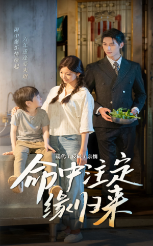 【命中注定缘归来】63集免费短剧在线高清看