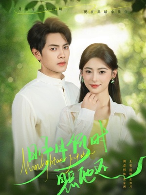 【明月何时照他还】73集短剧免费在线全集观享