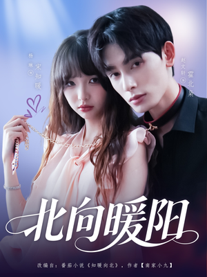 【北向暖阳】80集免费短剧在线随心看