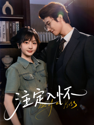 【注定入怀】70集短剧在线免费观看无阻