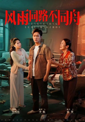 【风雨同居不同舟】32集全集短剧免费在线观赏