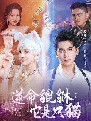 逆命貔貅它是只猫（35集）短剧每日分享