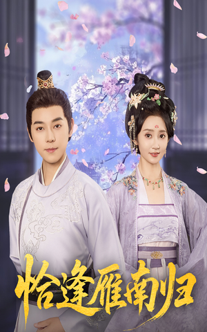 恰逢雁南归（51集）排行榜前十短剧