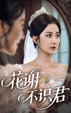 花谢不识君（40集）演的怎么样