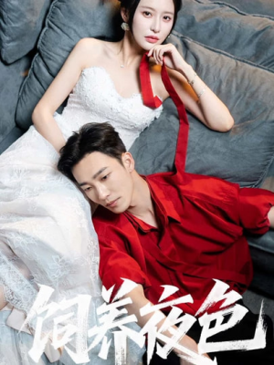 饲养夜色（86集）在线看到大结局