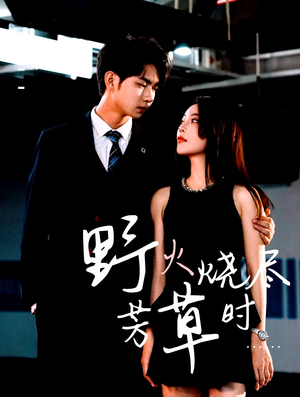 野火烧尽芳草时（65集）精彩短剧分享