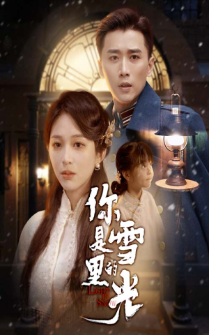 你是雪里的光（64集）常回家看看短剧