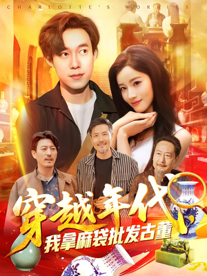 穿越年代我拿麻袋批发古董（102集）免费看